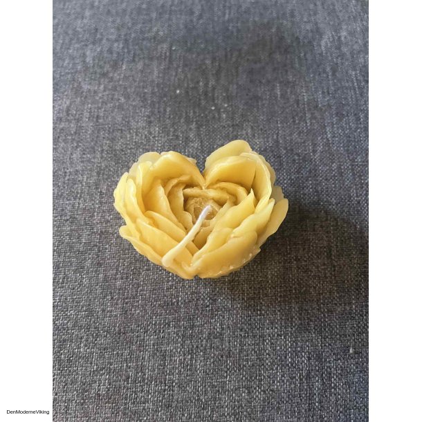 Rose hjerte
